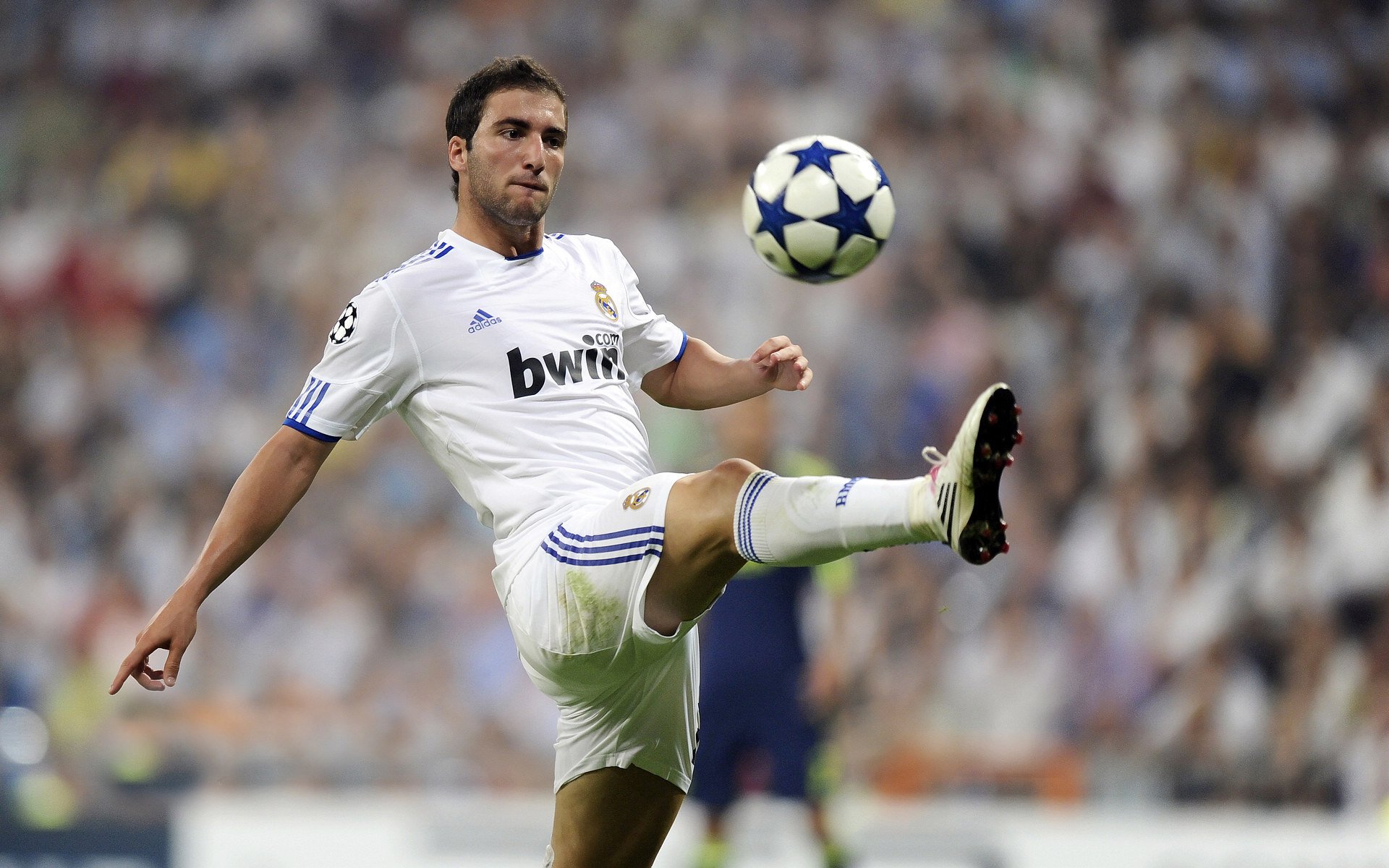 埃尔伯:拜仁现在形势一片大好,高层此时更要管住自己的嘴,拜仁对波尔图